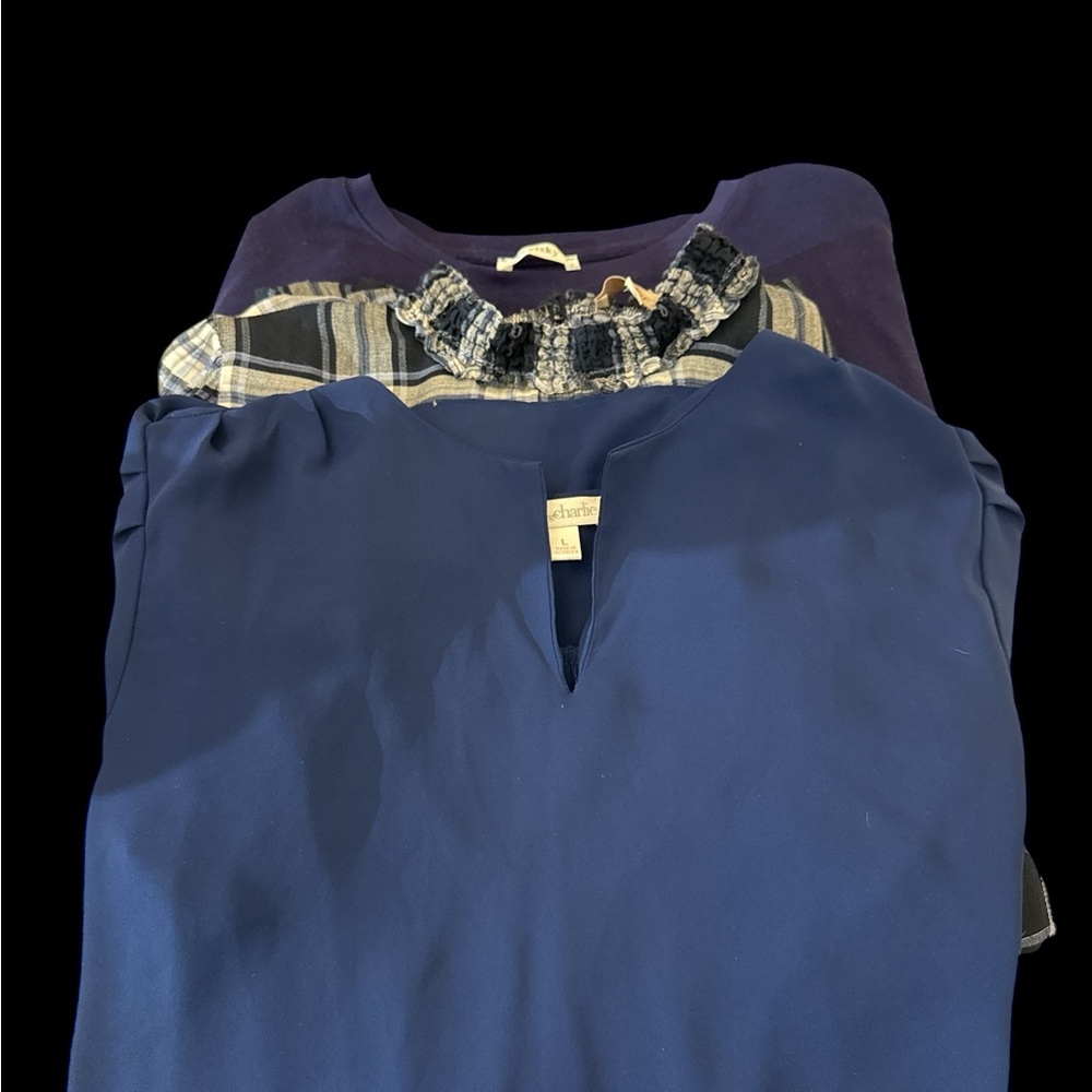 Three piece top bundle. Ann Taylor Loft Charming Charlie & Poetsky